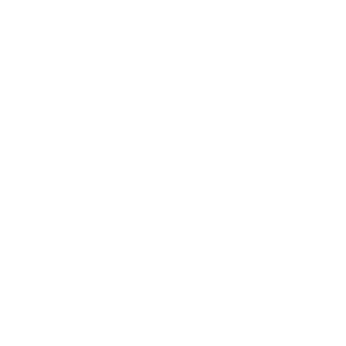 ROLL THE DICE